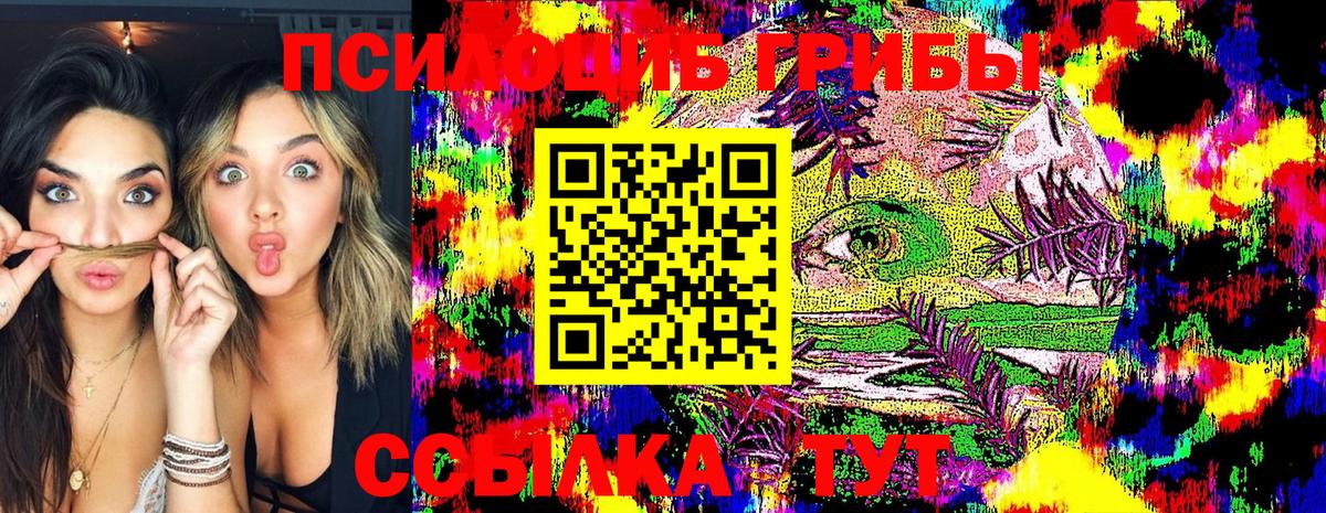 Псилоцибиновые грибы GOLDEN TEACHER  Псилоцибиновые грибы GOLDEN TEACHER  Вход с VPN  Крымск 