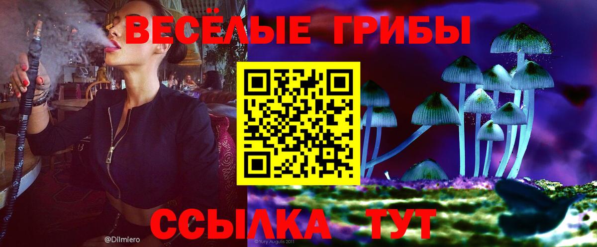 Псилоцибиновые грибы ЛСД Крымск